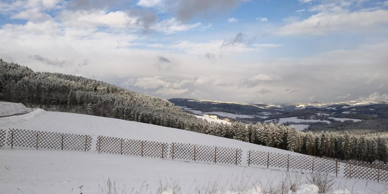 Mönichkirchen Wald-Panorama-Zimmer B&B 외부 사진
