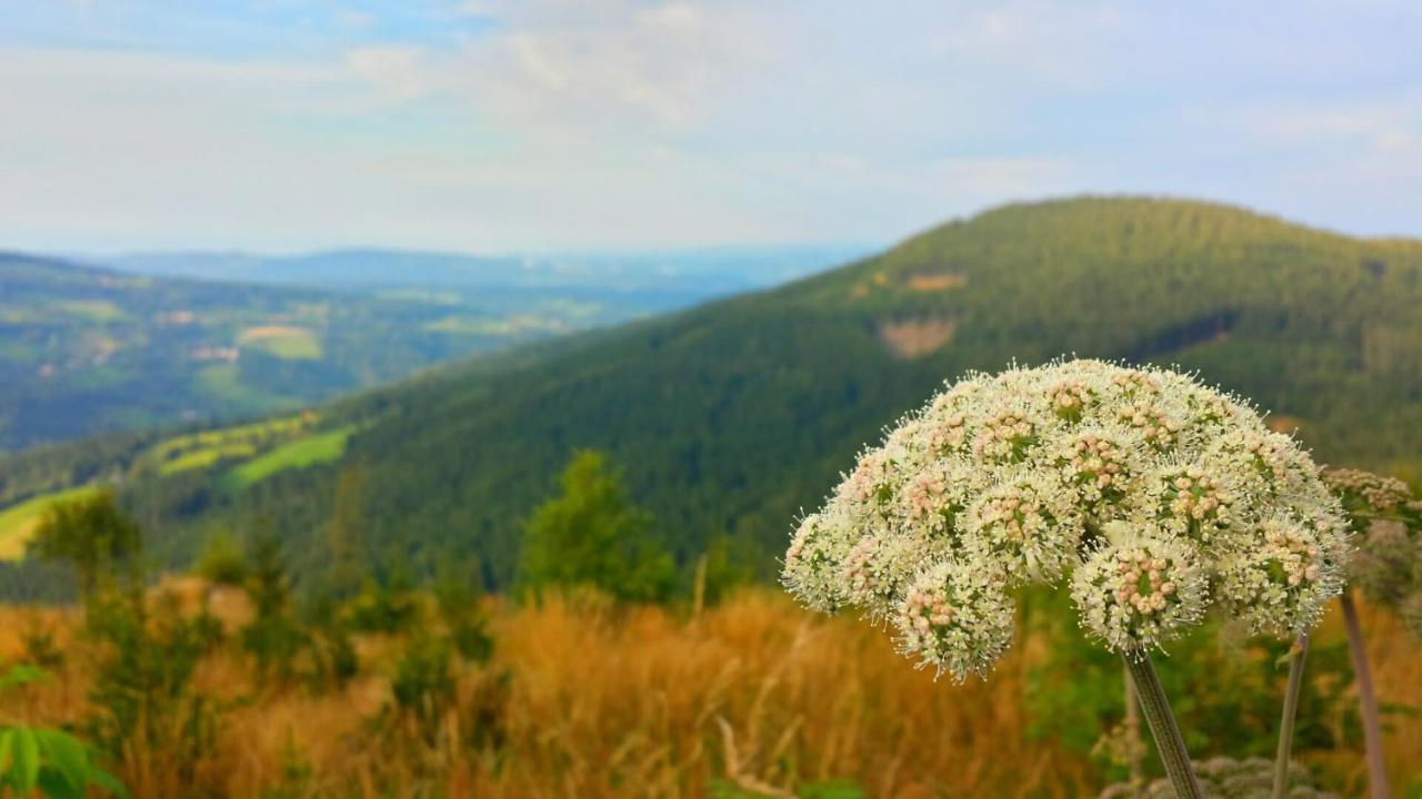 Mönichkirchen Wald-Panorama-Zimmer B&B 외부 사진